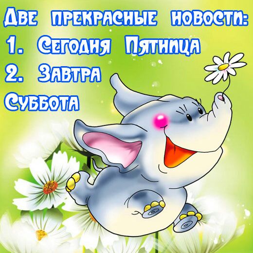 ПРЕКРАСНЫЕ НОВОСТИ
