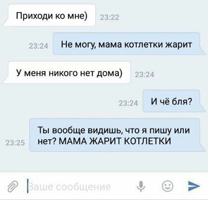 Приходи ко мне Не могу мама котлетки жарит У меня никого нет дома И чё бля Ты вообще видишь что я пишу или нет МАМА ЖАРИТ КОТЛЕТКИ