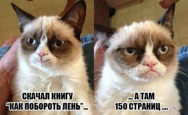 цидчдп НИП д ТАМ БПРПТЬ ЛЕНЬ 150 СТРАНИЦ