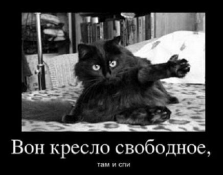 Вон кресло свободное спи