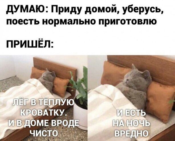дУМАЮ Приду домой уберусь поесть нормально приготовлю ПРИШЁЛ