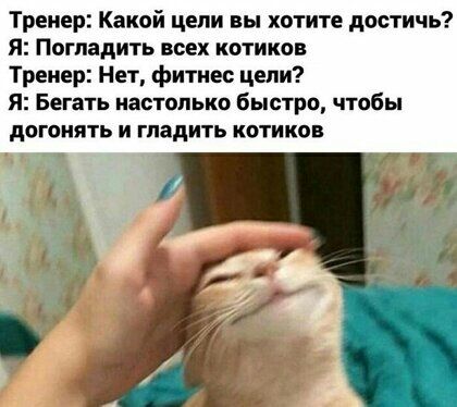 Тренер Какой цепи вы хотите достичь Я Погладить всех котиков Тренер Нет фитнес цепи Я Бегать настолько быстро чтобы догонять И гладить КОТИКБВ