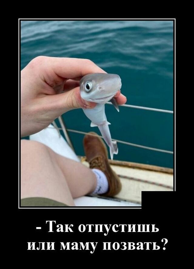 Так отпустишь или маму позвать