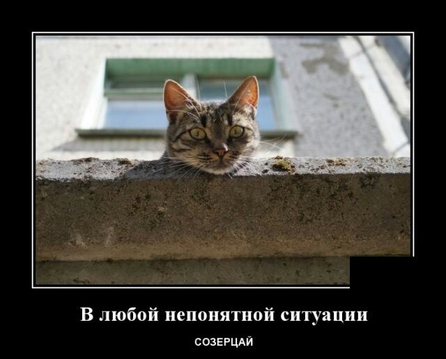 В любой непонятной ситуации СОЗЕРЦАЙ