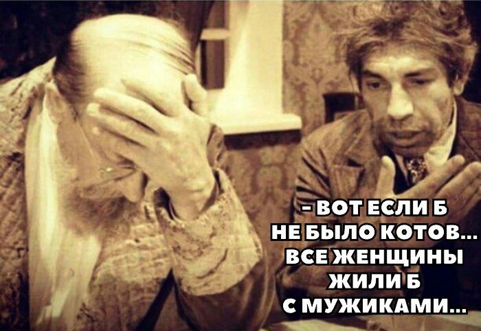 НЕ БЫЛО КОТОВ ВСЕ ЖЕНЩИНЫ ЖИЛИБ С МУЖИКАМИ_ _