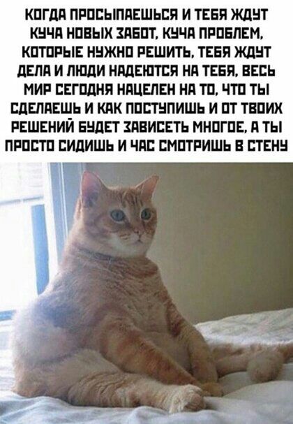 КПГдП ПРПЕЫПАЕШЬПП И ТЕБЯ ЖДЕТ КНЧП ИНЫХ КЛЕЩ КНЧП ПРПЕЛЕМ КПТПРЫЕ ННЖНП РЕШИТЬ ТЕБЯ ЖДЕТ ЦЕЛИ И ЛЮДИ НМЕШТПП НП ТЕБЯ ЕЕПЬ МИР ПЕГПДНП НПЦЕПЕН НП ТП ЧТП ТЫ ЩЕЛПЕШЬ И КПК ППШПИШЬ И ГП ТВПИХ РЕШЕНИИ ЕЩП ЗДВИВЕТЬ ННПГПЕ П ТЫ ПРПСТП БИдИШЬ И ЧИП ПМПТРИШЬ В СТЕН