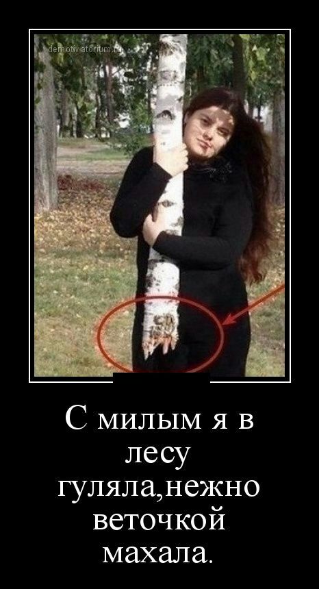 Димьшз С МИЛЫМ я в лесу гуляланежно веточкой махала