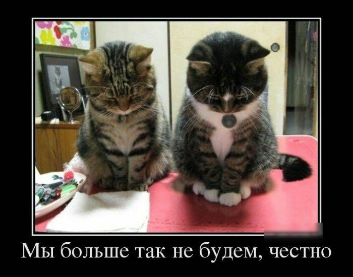 МЫ больше так не будем честно