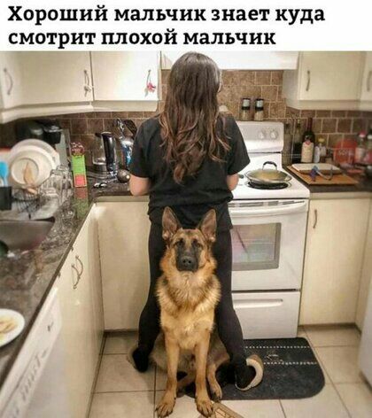 Хороший мальчик знает куда смотрит плохой мальчик