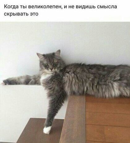 Когда ты великолепен и не видишь смысла скрывать это