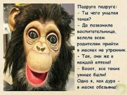 Пишут подруге чего уицпап ю ПА поиоиилц поспиючипмиъп идиш шм рпдишпяи прив масиах ип упреки _ тм же нацией птекс Виды щ тии тин бнли Олин д ник дура маси обвмин