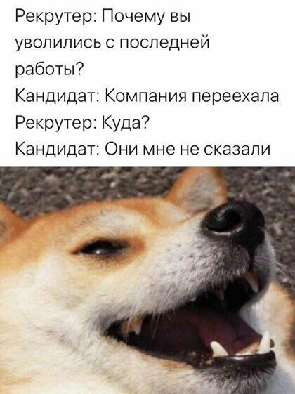 Рекрутер Почему вы уволились с последней работы Кандидат Компания переехала Рекрутер Куда Кандидат Они мне не сказали