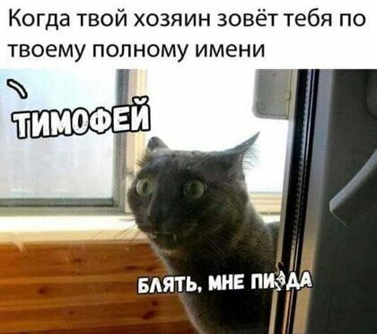 Когда твой хозяин зовёт тебя по твоему полному имени пять ин пид