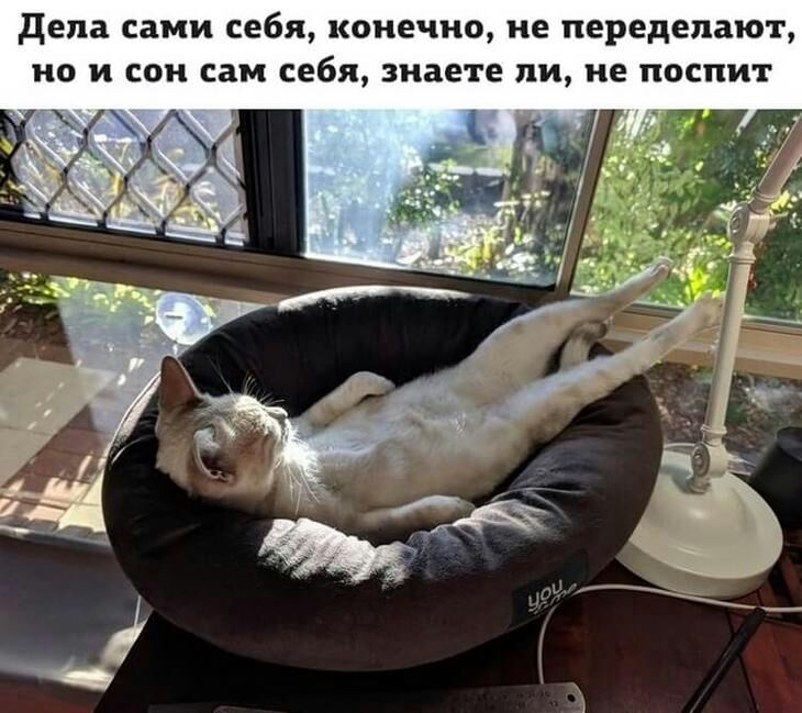 дела сами себя конечно не переделают но и сон сам себя знаете ли не поспит