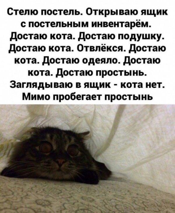 Степю постель Открываю ящик с постельным инвентарем достаю кота достаю подушку достаю кота Отвлёкся достаю кота достаю одеяло достаю кота достаю простынь Загляды ваю в ящик кота нет Мимо пробегает простынь эт