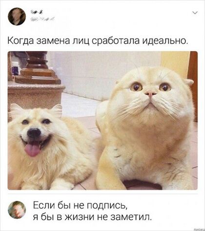 Когда замена лиц сработала идеально Если бы не подпись я бы в жизни не заметил