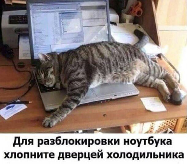 для разбпоировки ноутбук хлопните дверцей холодильника