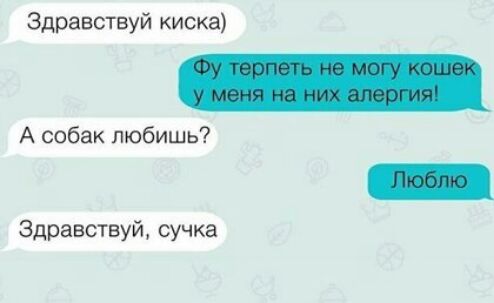 Здравствуй киска А собак любишь Здравсшуй сучка