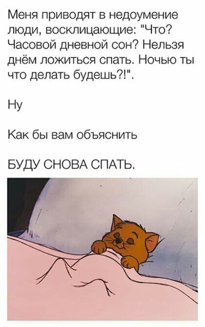 Меня приводят в недоумение люди восклицающие Что Часовой дневной оон Нельзя днём ложиться спать Ночью ты что делать будешЫА Ну Как бы вам объяснить вуду СНОВА СПАть