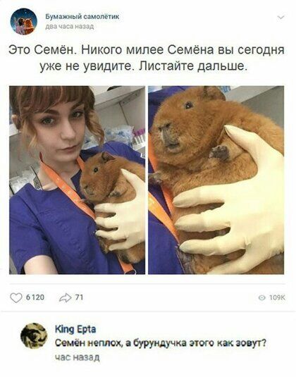 это Семён Никого милее Семёна вы сегодня уже не увидите Листаите дальше шп п ки Еги коптя автшчкя им туп час назад