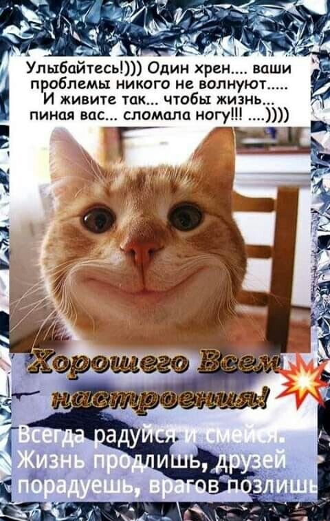 А им Улыбайтесь Один хрен ваши И живите так чтобы жизнь пиная вас слоислп ногу проблемы никого не волнуют