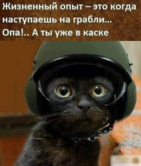 Жизненный опыт это когда наступёещвім грабли 0па А ты уже в каске а