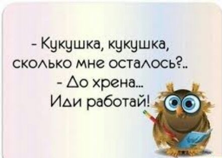 Кукушка кукушка СКОЬКО мне остаАось Ао хрена ИАИ работай