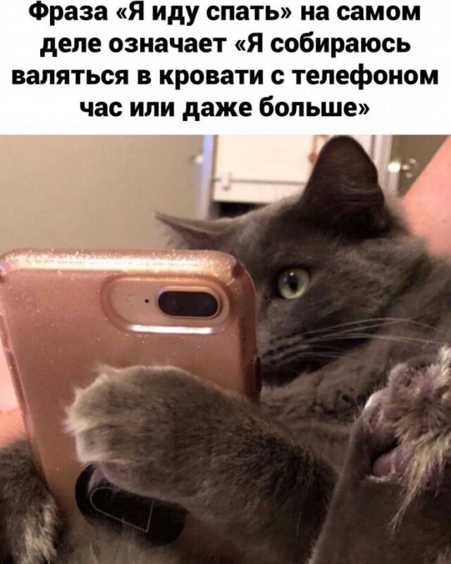 Фраза Я иду спать на самом деле означает я собираюсь валяться в кровати с телефоном час или даже больше