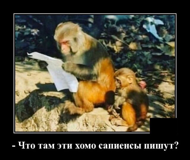 Что там эти хомо сапиенсы пишут