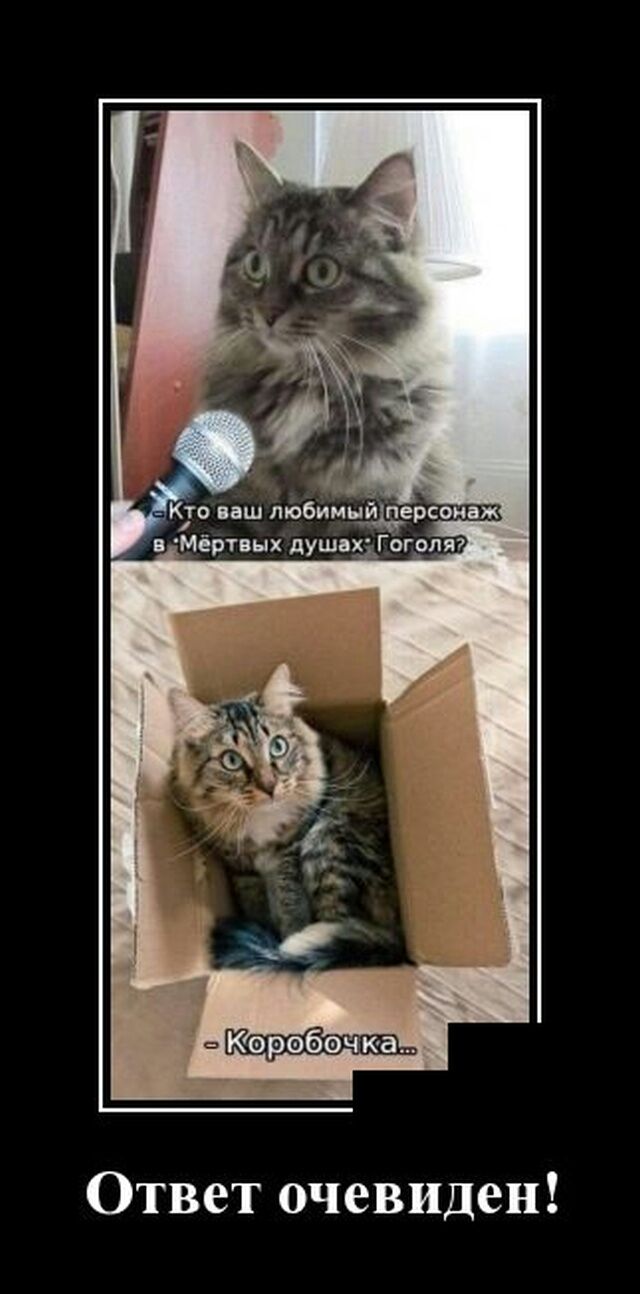 Ответ очевиден