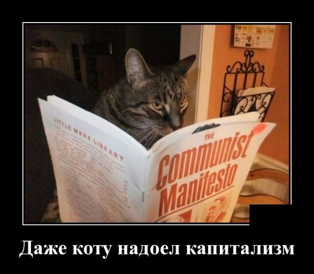 Даже коту надоел капитализм