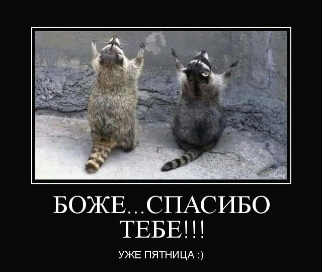 БОЖЕ СПАСИБО ТЕБЕ УЖЕ ПЯТНИЦА