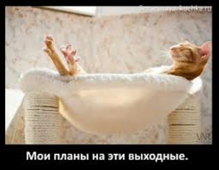 МОИ планы на ЭТИ ВЫХОДНЫЕ