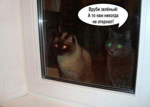 Вруби зепвиый А то нам ииюгла ие тирош