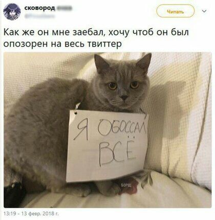 стирол Как же он мне заебал хочу чтоб он был опозорен на весь Твигтер