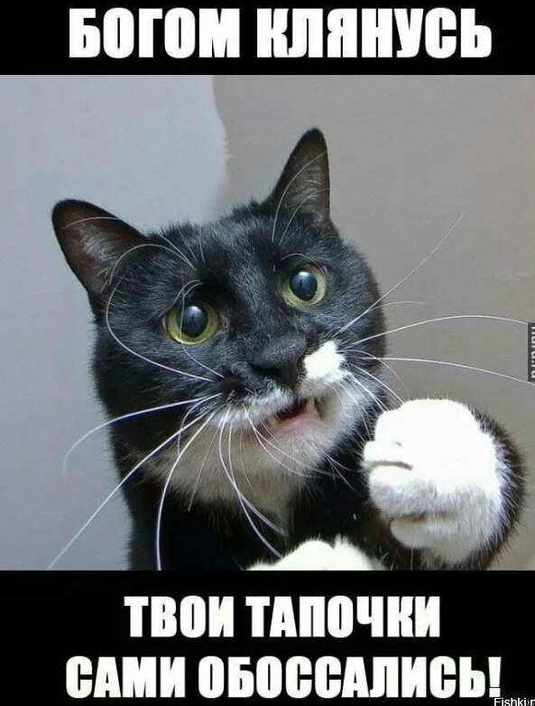 ШП ШШШ твои ТМШШИ ВПШ ПБМЮМШЁЪ