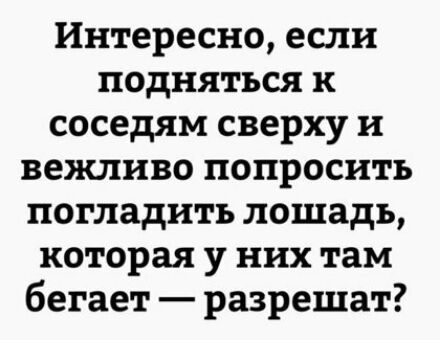 Интересно если подняться к соседям сверху и вежливо попросить погладить лошадь которая у них там бегает разрешат