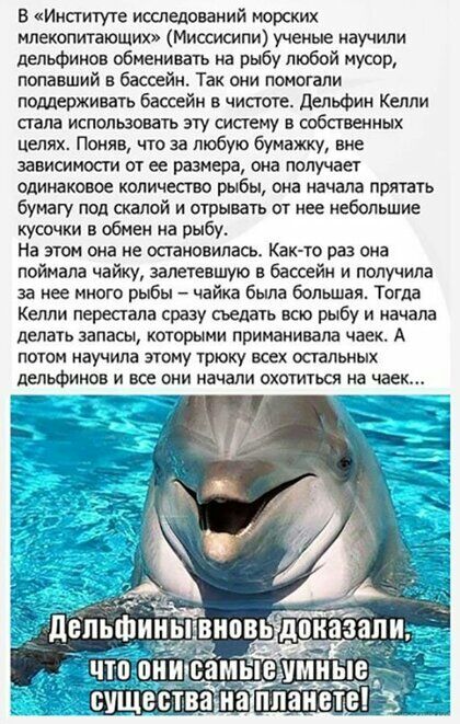 В Институте исследований юрских млекопитающих Миссисипи ученые научили дельфинов обменивать ма рыбу любой мусор попавший в бассейн Так они помогали поддерживать бассейн в чистоте дельфин Кеппи стала использовать эту систему в собственных целях Поняв что за любую бумажку вне зависимости от ее размера она получает одинаковое количество рыбы она начала прятать бумагу под скалой и отрывать от нее небо