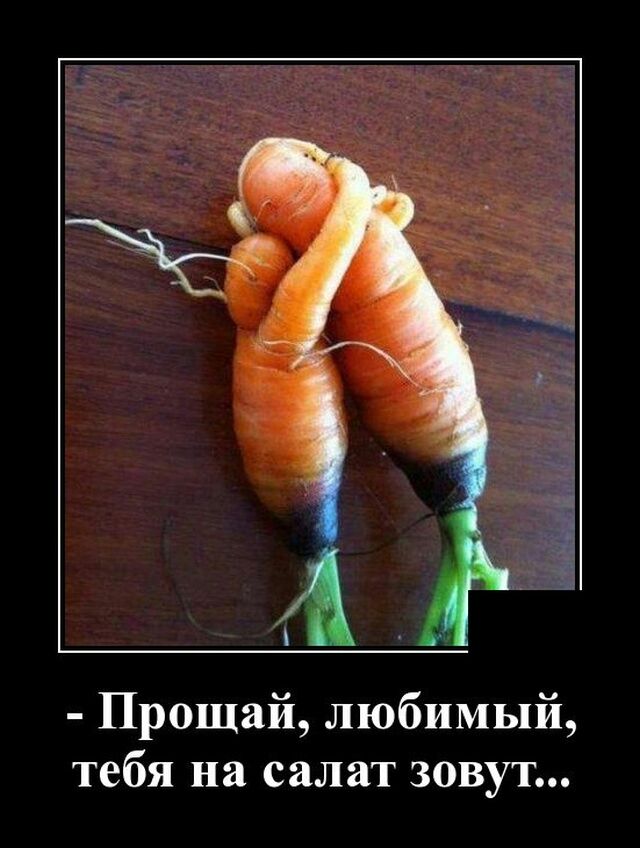 Прощай любимый тебя на салат зовут