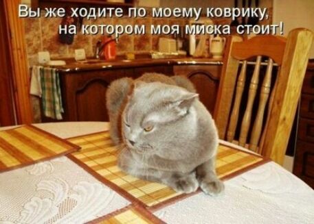 диграф