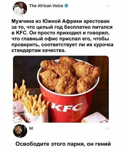 ТЬе Мпсап пісе Мужчина из Южной Африки арестован за то что целый год бесплатно питался в КП Он просто приходил и говорил что главный офис прислал его чтобы проверить соотвегствуы ли их курочка стандартам качения Освободите этого парня он гений