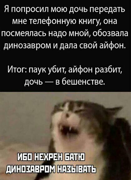 Я попросил мою дочь передать мне телефонную книгу она посмеялась надо мной обозвала динозавром и дала свой айфон Итог паук убит айфон разбит дочь в бешенстве дИНПШРПМНПЗ