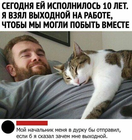СЕГОДНЯ ЕЙ ИСПОдНИЛОСЬ 10 ЛЕТ я ВЗЯЛ ВЫХОДНОИ НА РАБОТЕ ЧТОБЫ МЫ МОГЛИ ПОБЫТЬ ВМЕСГ Е Мой начальник меня в дурку Бы отравил если б я сказал зачем мне выходной