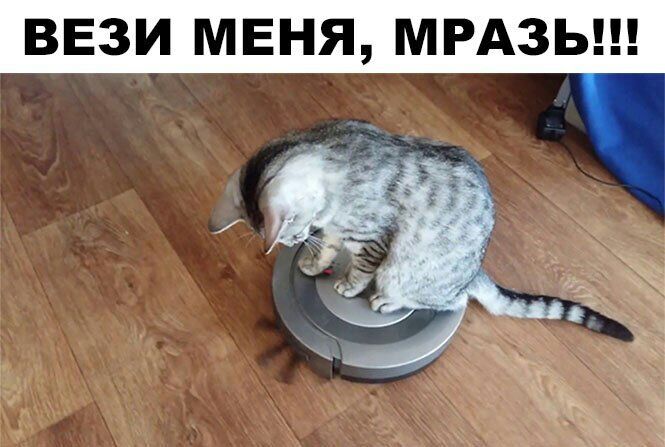 ВЕЗИ МЕНЯ МРАЗЬ