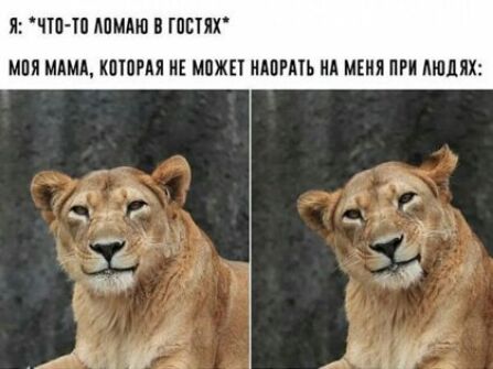ЧШ Ш МШМП В ШЕПХ МПП МАМА КШПРАЯ МЕ ММП ММП ИА МШЯ ПРИ МПМК