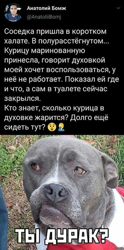 Анатолий Бомж АпзюШВшщ Соседка пришла в коротком халате В полурасстёгнутом Курицу маринованную принесла говорит духовкой моей хочет воспользоваться у неё не работает Показал ей где и что а сам в туалете сейчас закрылся Кто знает сколько курица в духовке жарится Долго ещё
