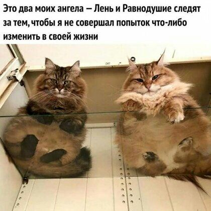 Это два моих ангела день и Равнодушие следят аа темчтобы я не совершал попьпок ппо либо ИЗМЕНИТЬ СЕОЕИ ЖИЗНИ