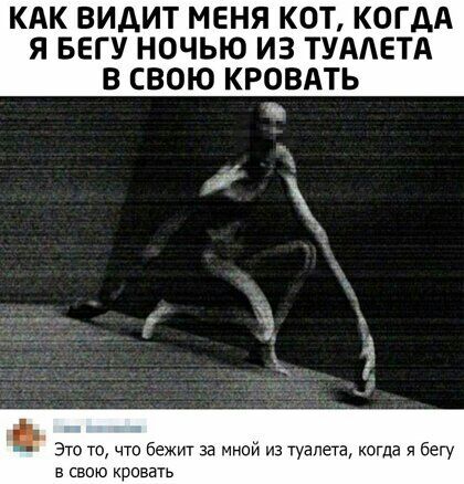 КАК ВИДИТ МЕНЯ КОТ КОГДА Я БЕГУ НОЧЬЮ ИЗ ТУАЛЕТА В СВОЮ КРОВАТЬ у 1 Это то что Бежит за Мной из туалета когда бегу в свою кровать