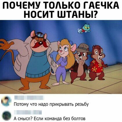 ПОЧЕМУ ТОАЬКО ГАЕЧКА НОСИТ ШТАНЫ з 4 ч прир А смысл Если команда без болтов