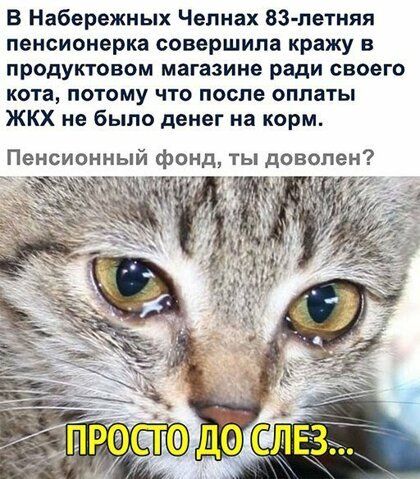 В Набережных Челнах 83 летняя пенсионерка совершила кражу в продуктовом магазине ради своего кота потому что после оплаты ЖКХ не было денег на корм Пенсионный фонд ты доволен